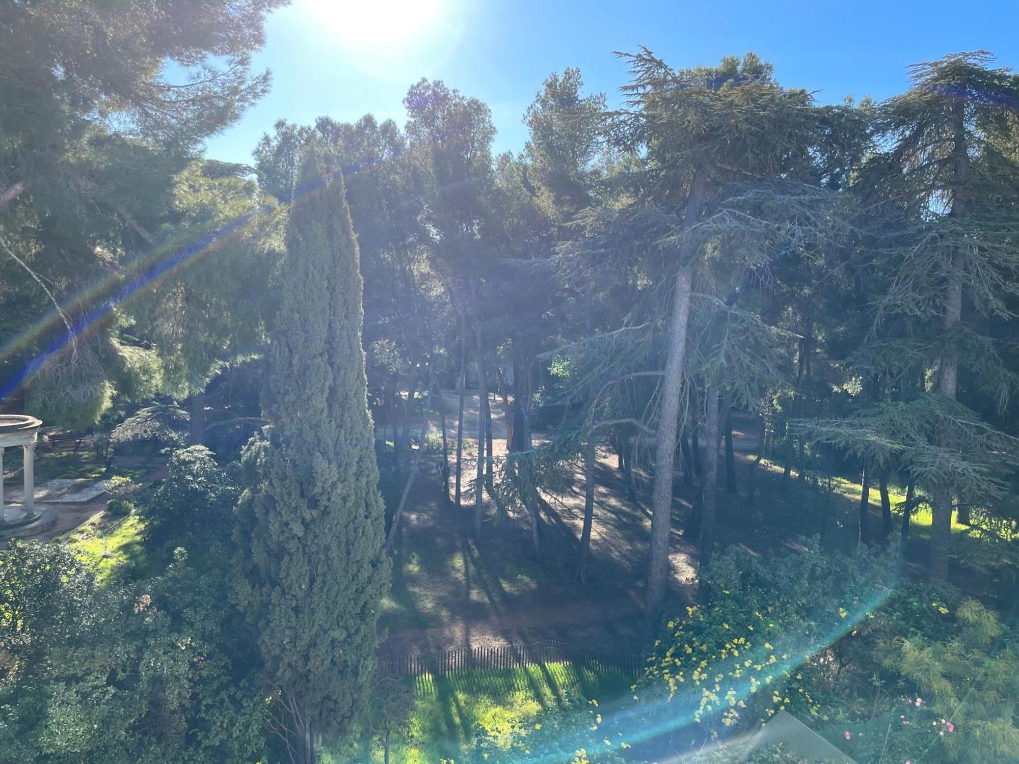 Bandol - Plage De Renecros Exterior foto